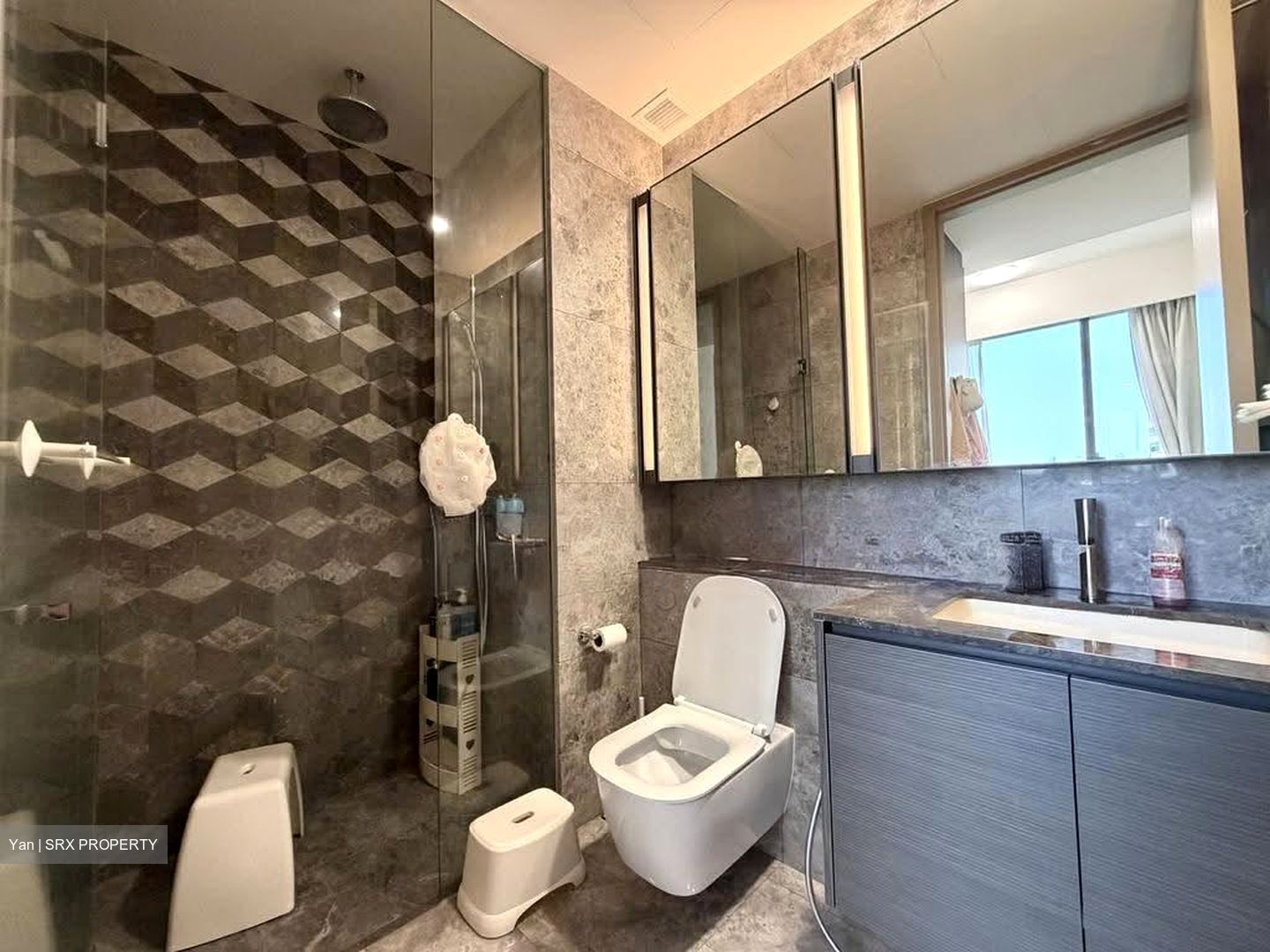 Leedon Green (D10), Condominium #639930721